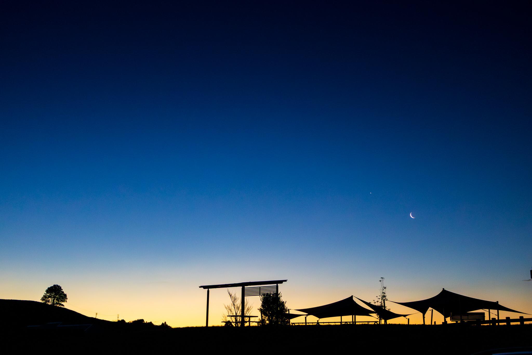 The moon and venus with silhoutted park and hill with tree at sunset